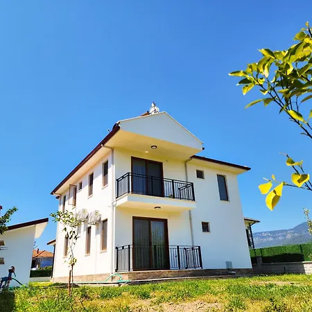 Arcadia Vila *